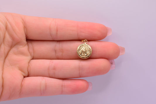 Dije Virgen milagrosa redonda / 0.65 Gr / 1.3 Cm / Oro amarillo 18k
